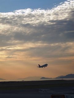 空港のデッキにて。_a0117860_141393.jpg