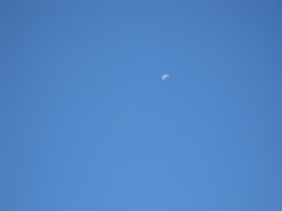 c0190960_792146.jpg