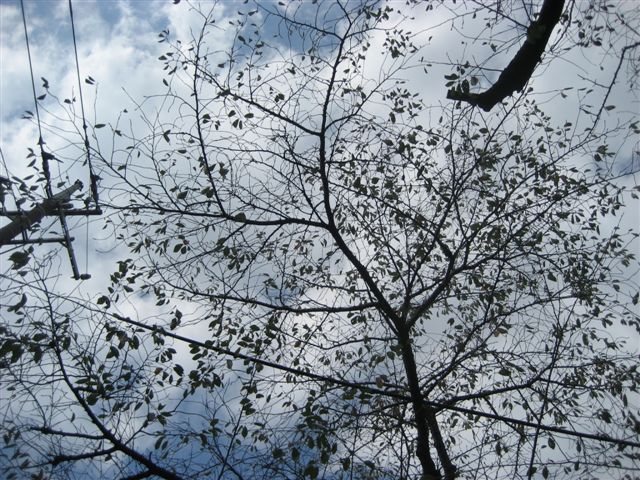 a0123465_019739.jpg