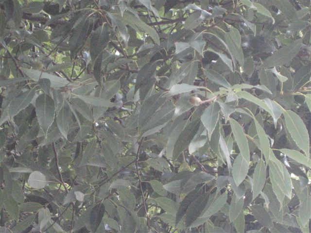 a0123465_040638.jpg