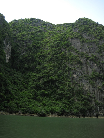 f0080168_11543825.jpg