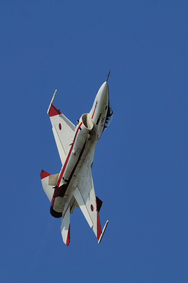 2009岐阜基地航空祭Ⅱ_f0061172_12483757.jpg