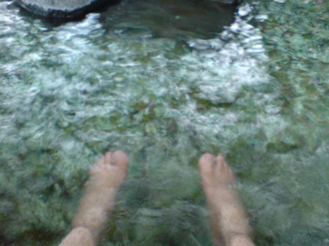 c0060076_22383730.jpg