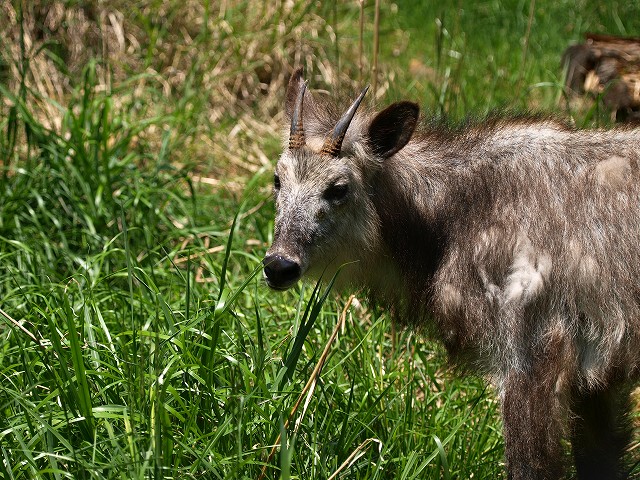 b0145677_12475191.jpg