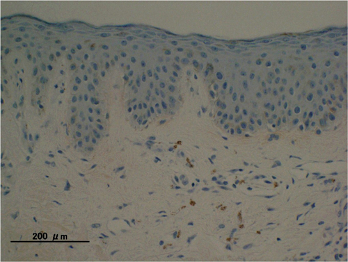 c0113980_19251929.jpg
