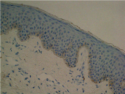 c0113980_19263882.jpg