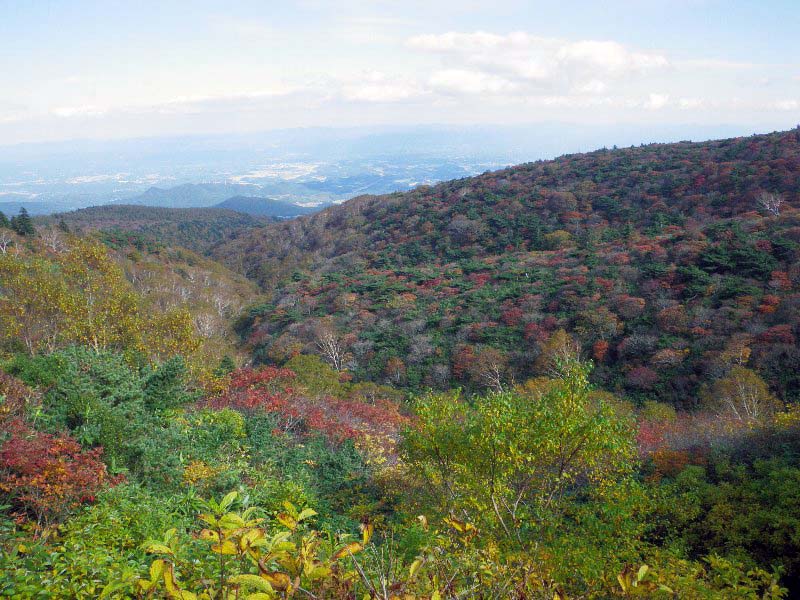 安達太良・湯川（紅葉の沢）～ ２００９年１０月１２日_f0170180_0505667.jpg