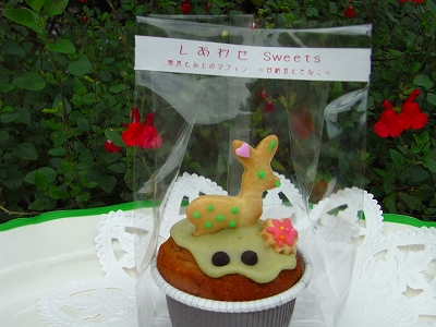 しあわせのアイシングクッキー_c0207890_1282629.jpg