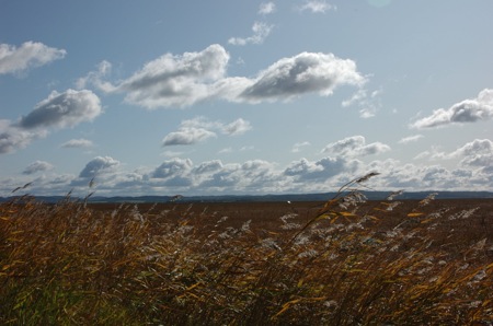 f0159390_18164029.jpg