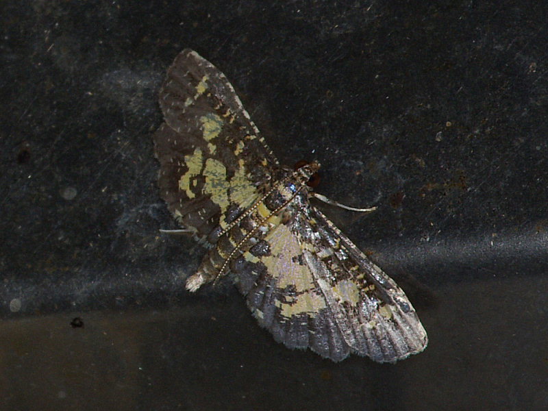 f0204094_2012917.jpg