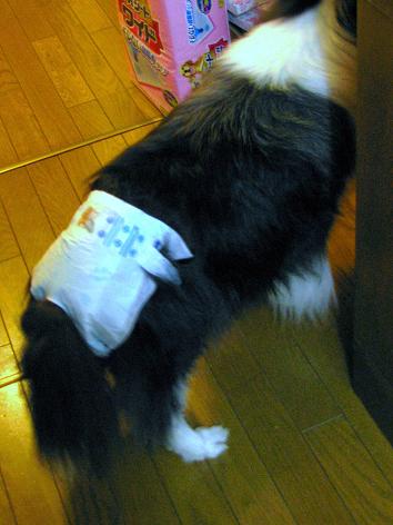c0199096_16391912.jpg