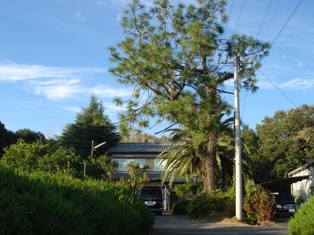 e0143298_16161777.jpg