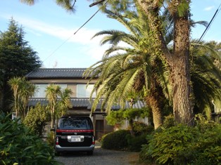 e0143298_16282474.jpg
