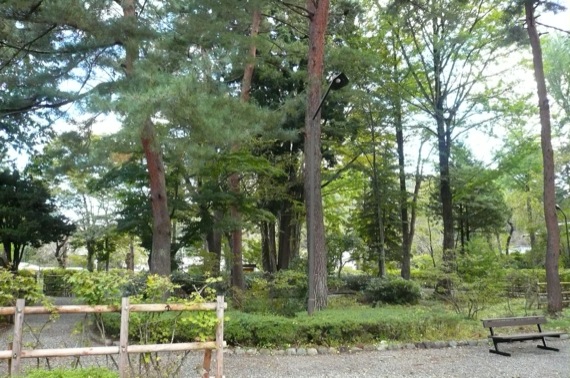 e0054299_14293818.jpg
