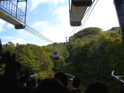 c0036203_20334721.jpg