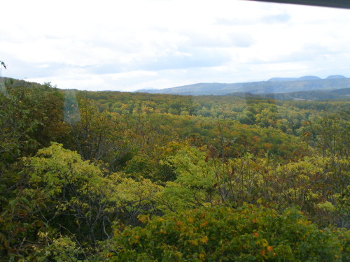 c0036203_20422141.jpg