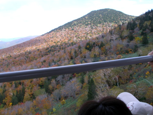 c0036203_20502111.jpg