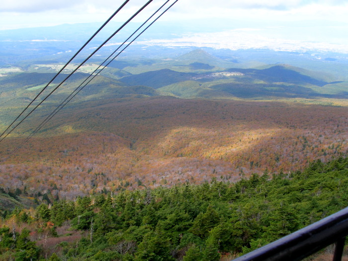 c0036203_20545881.jpg