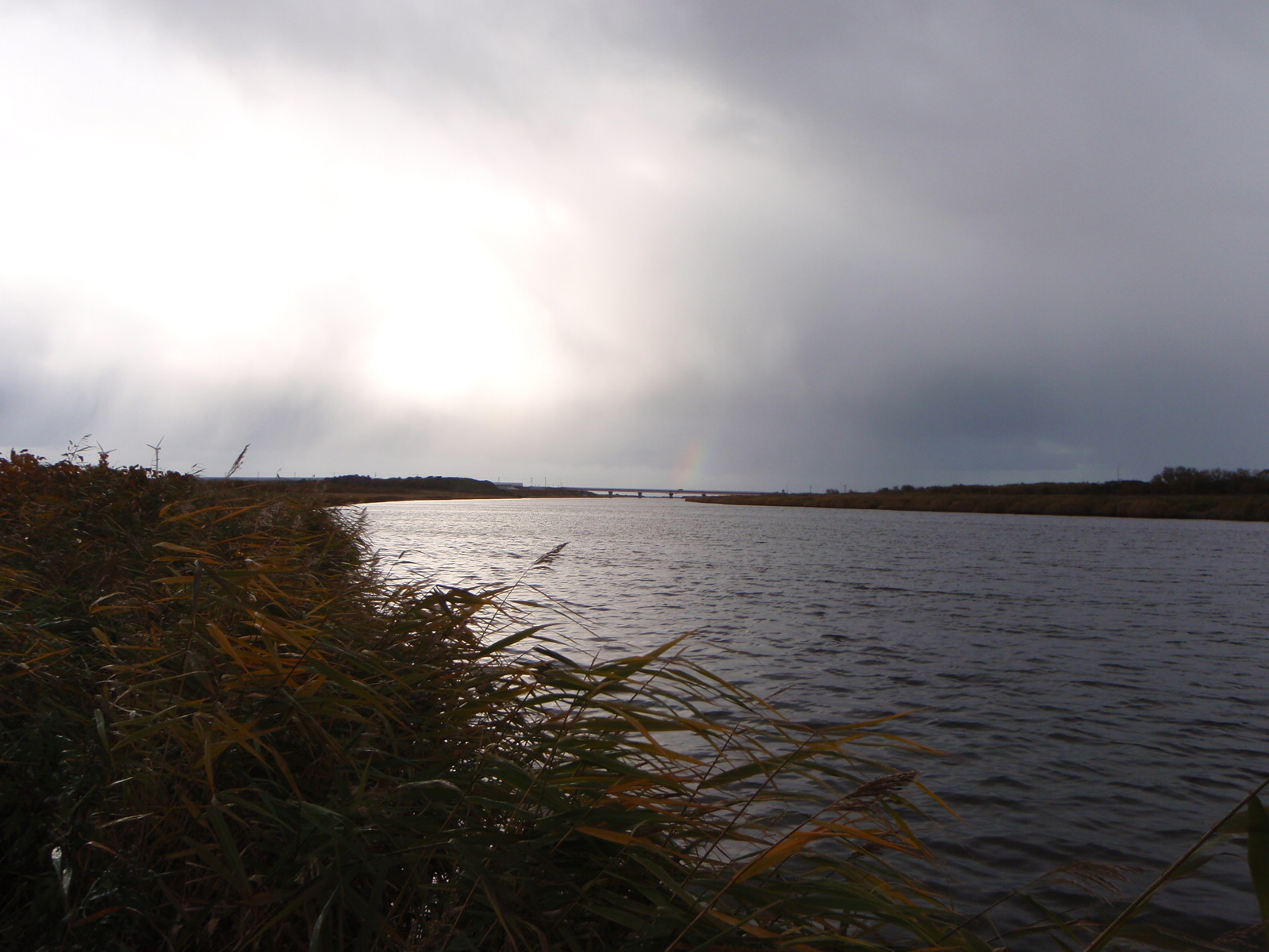 a0046210_22112747.jpg