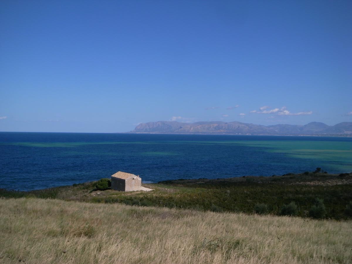 d0104210_159442.jpg