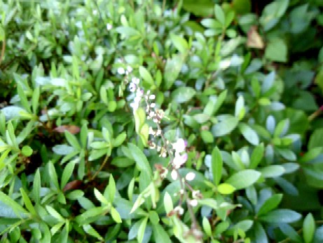 f0043911_12293149.jpg
