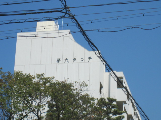 c0200314_10395777.jpg