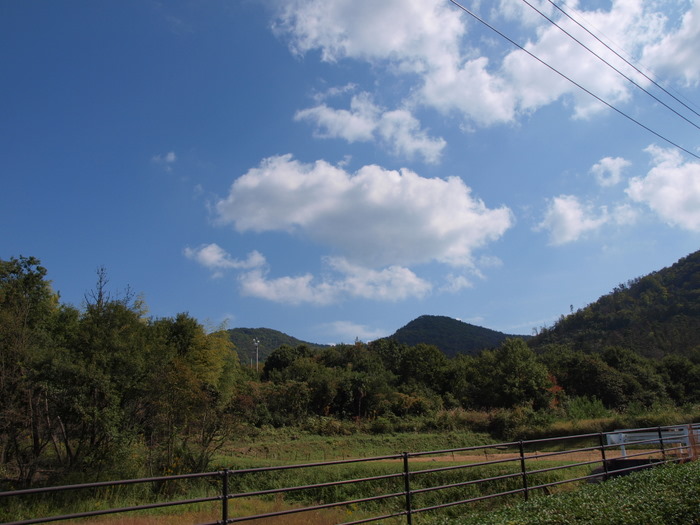 今日の風景　西条町　安芸津町　阿賀など。。_c0116915_23135469.jpg