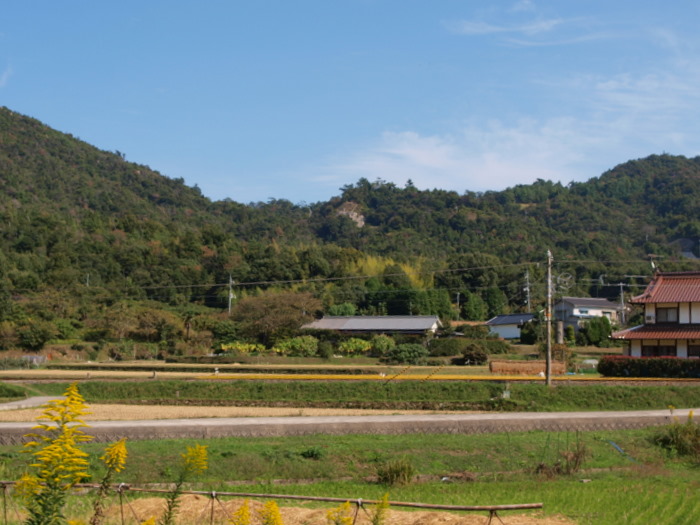 今日の風景　西条町　安芸津町　阿賀など。。_c0116915_23281816.jpg