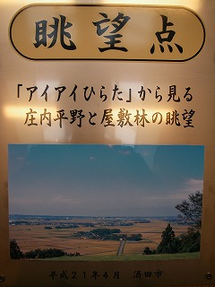 f0121115_14041.jpg