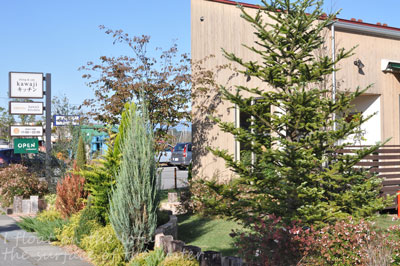 b0075318_99698.jpg