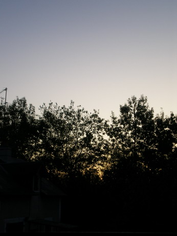 c0124619_16233195.jpg