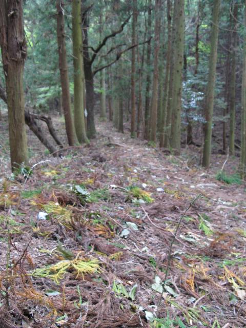 約1ヶ月ぶりのM山でした~~。_c0144020_0341967.jpg