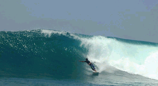 c0204622_3362238.gif