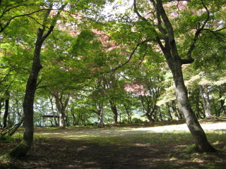 b0147224_014060.jpg