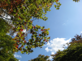 b0147224_034339.jpg