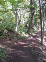 b0147224_045210.jpg