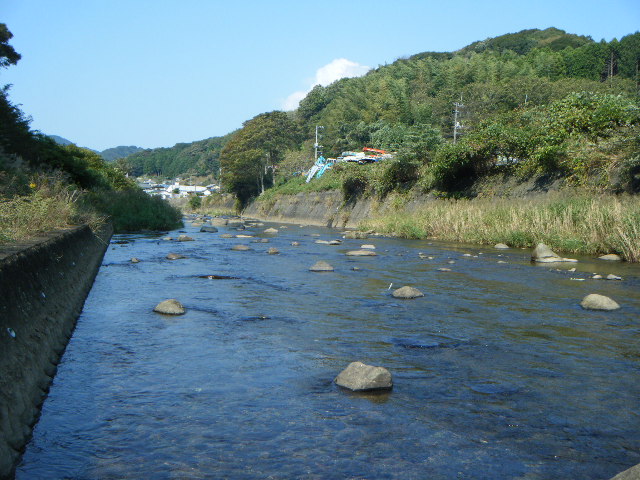 ヌルヌルの天然です　鮎　ＩＮ稲生沢川_d0099724_23423831.jpg