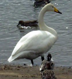 f0165224_232971.jpg