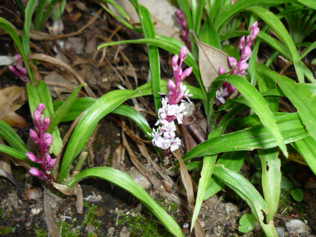 c0117525_22272227.jpg