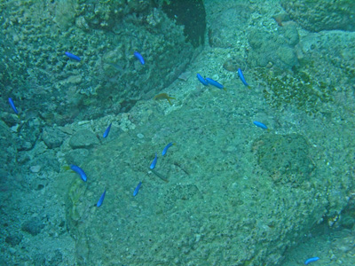d0152629_1024730.jpg