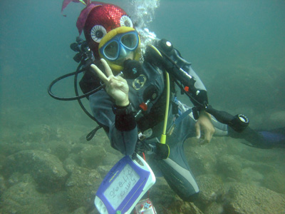 d0152629_9522325.jpg