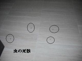 準備が仕事_f0031037_19573492.jpg