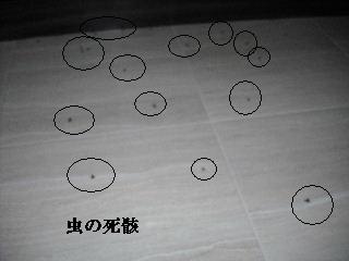 準備が仕事_f0031037_19574373.jpg