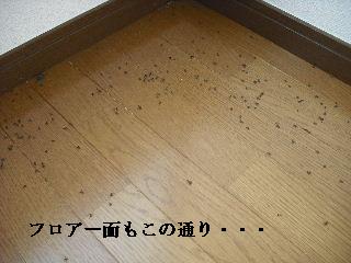 準備が仕事_f0031037_19581190.jpg