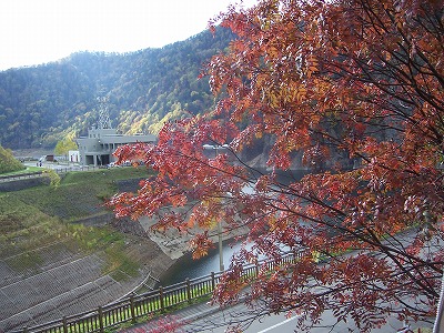 c0048940_2236211.jpg
