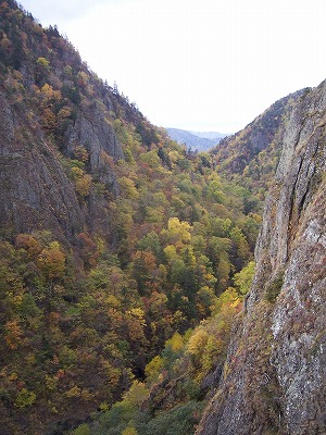 c0048940_22442234.jpg
