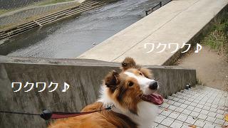 お散歩で初バッタリ_e0195743_1975218.jpg