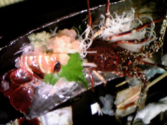 a0038663_2262779.jpg