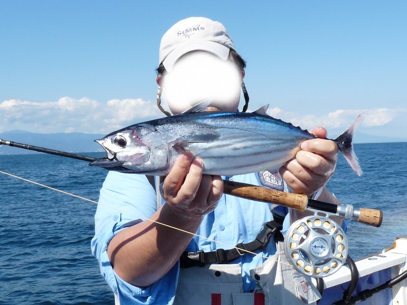 ８番ロッドの可能性 : 大海原とフライロッド