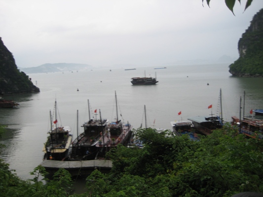 f0080168_10553448.jpg